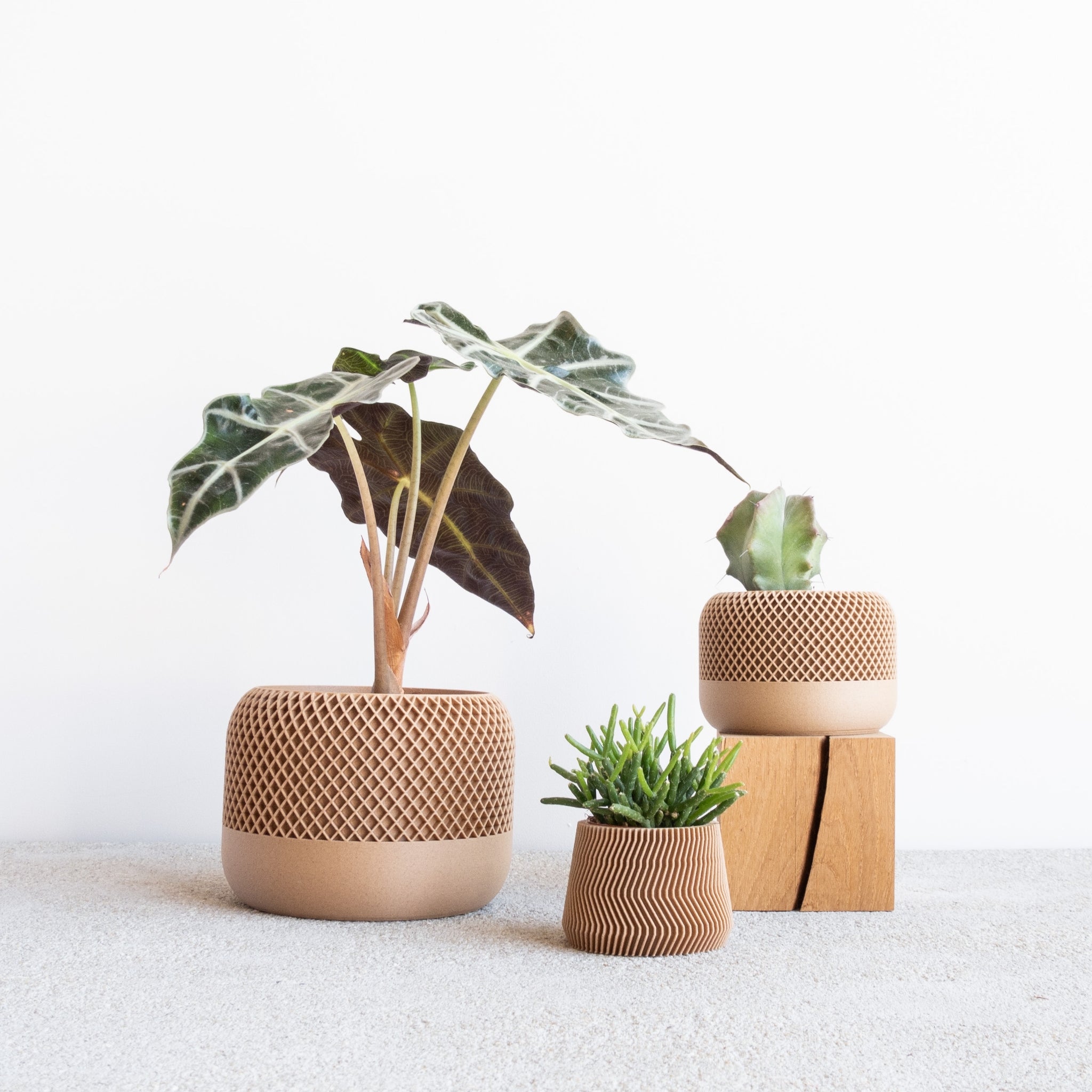 Apple Planter – Ema's Table